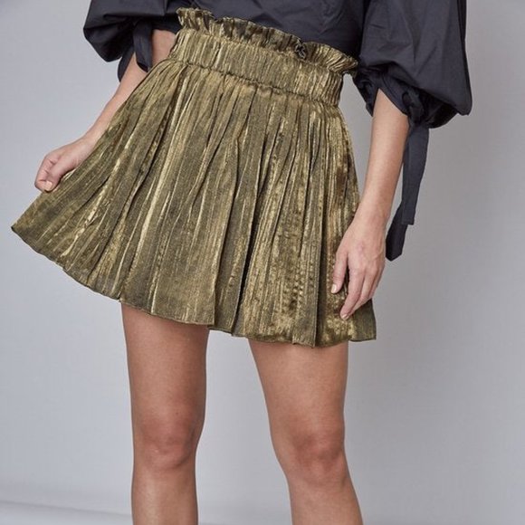 Short Pleated Skirt - Picture 1 of 1